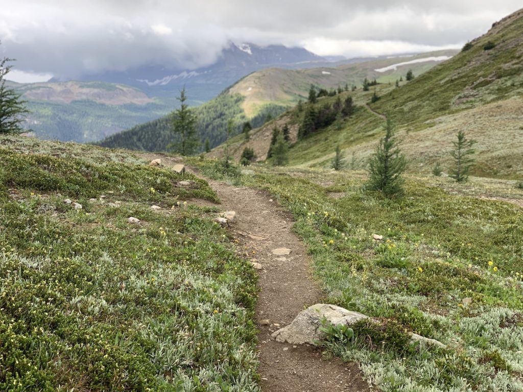 The magic that is Harvey Pass/Bourgeau Lake Running with Rhyno