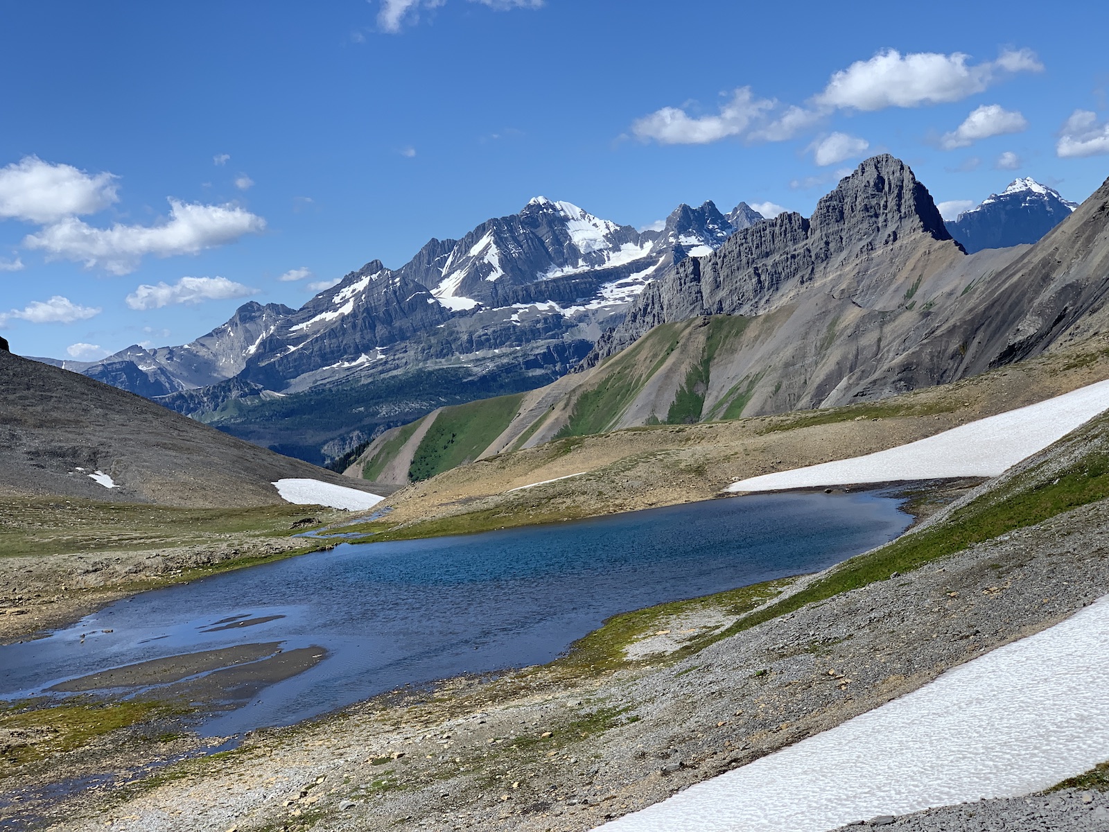 Northover Ridge – The Happiest Place On Earth - Running with Rhyno
