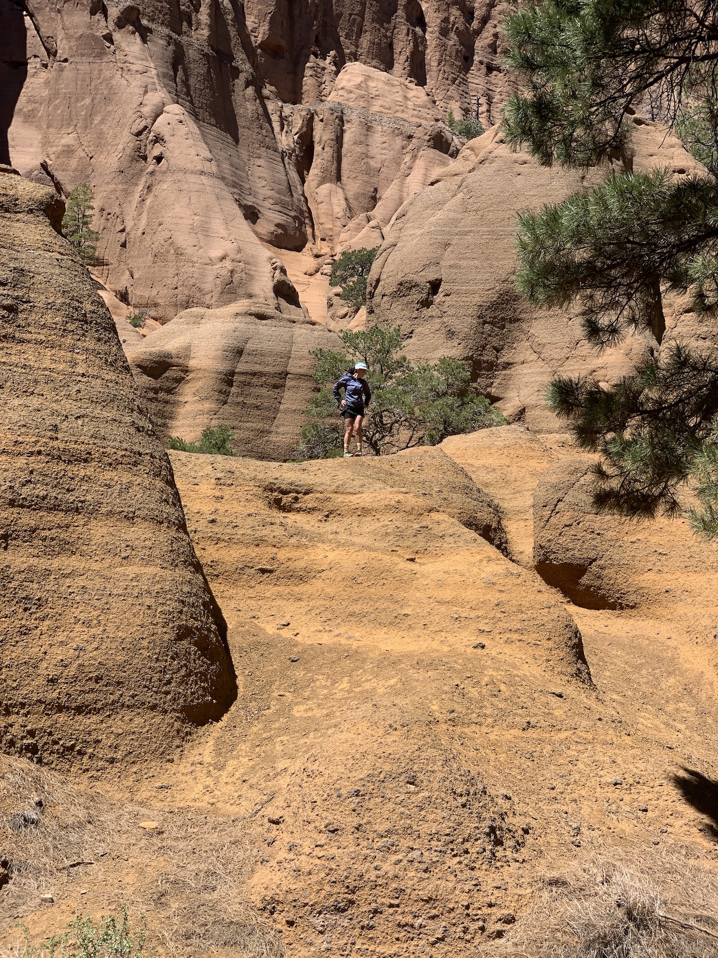 Exploring Red Mountain volcanic cinder cone Running with Rhyno